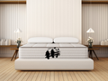 Fully Organic Cradle Coil Plush mattress